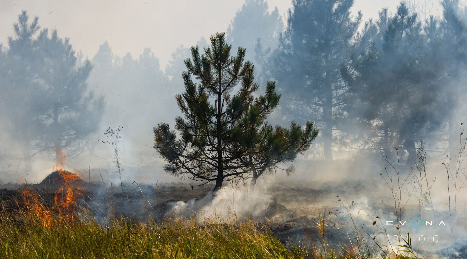 Space Tech for a Safer World: Disaster Management
