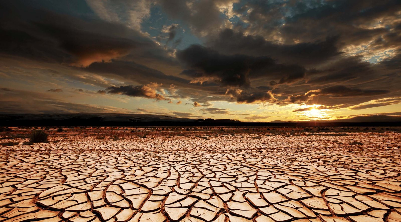 Watch Europe Dry up from Space in this Shocking Timelapse