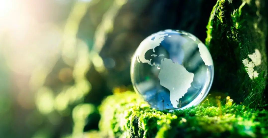 Sustainability-Image