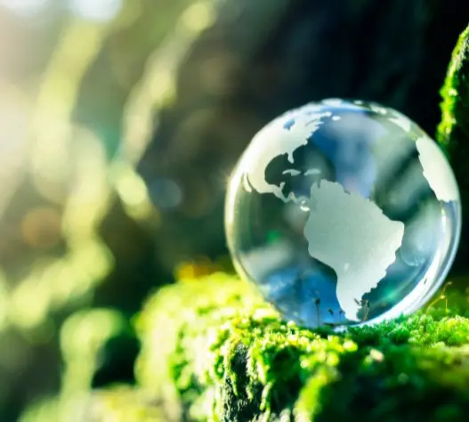 Sustainability-Image